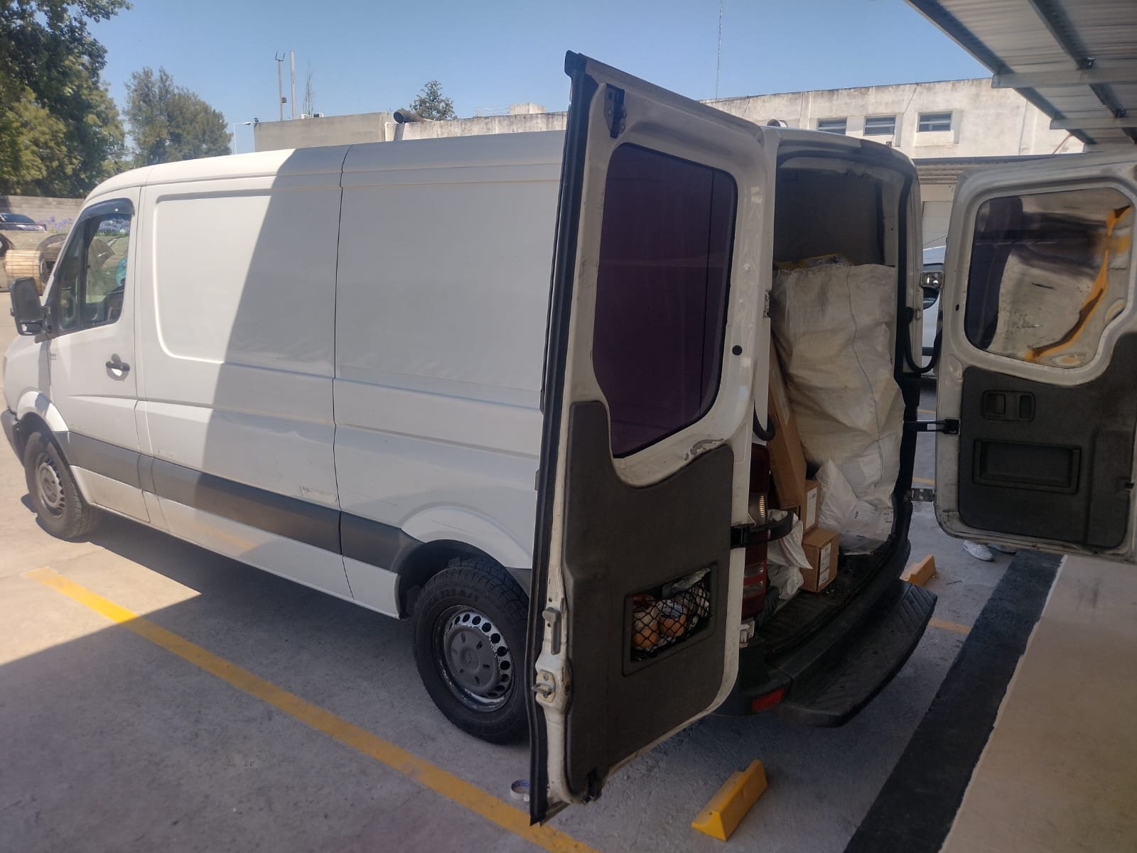 whatsapp image 2026 01 10 at 8.59.47 am